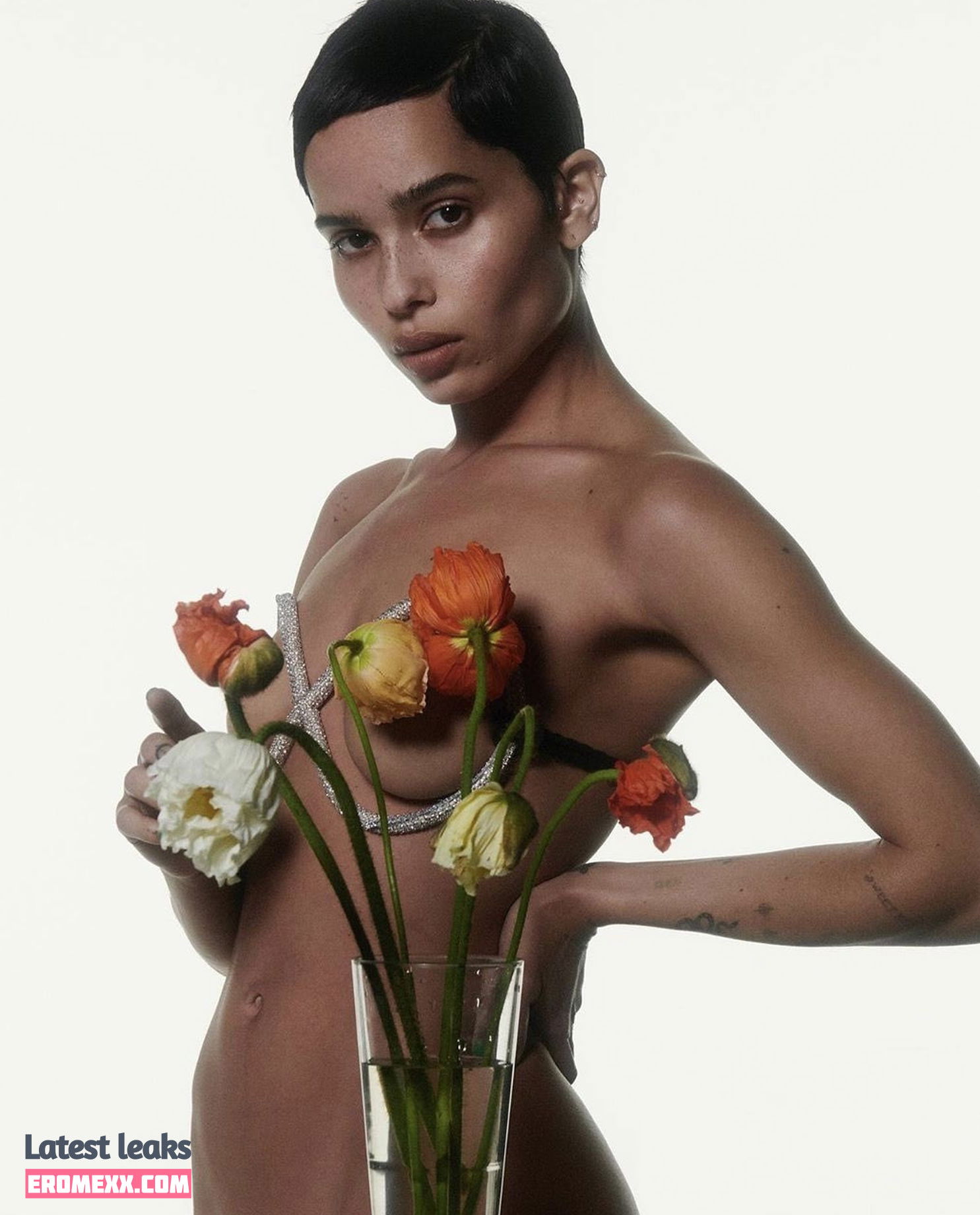 Latest Leaks Zoë Kravitz Nude #299 - Fapello