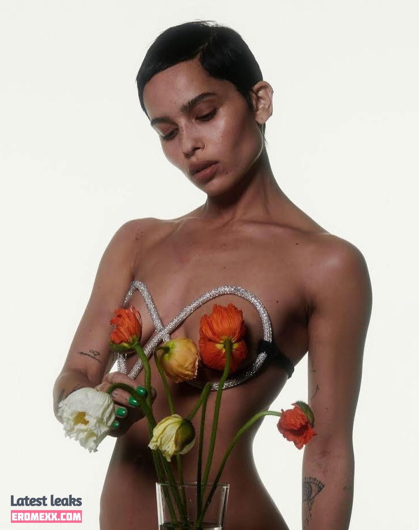 Latest Leaks Zoë Kravitz Nude #300 - Fapello