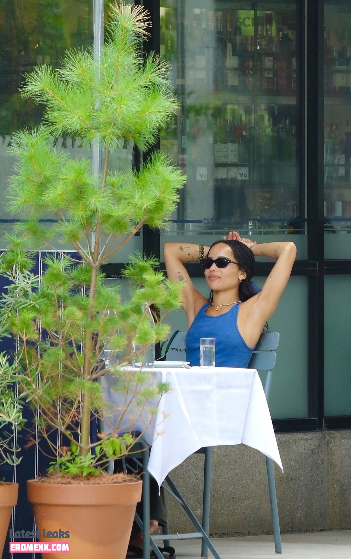 Latest Leaks Zoë Kravitz Nude #364 - Fapello