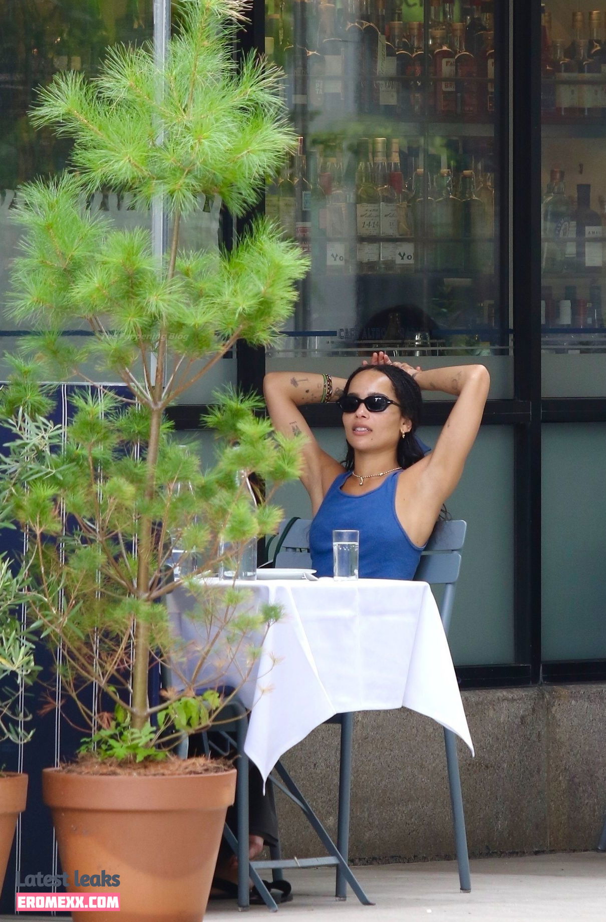 Latest Leaks Zoë Kravitz Nude #365 - Fapello