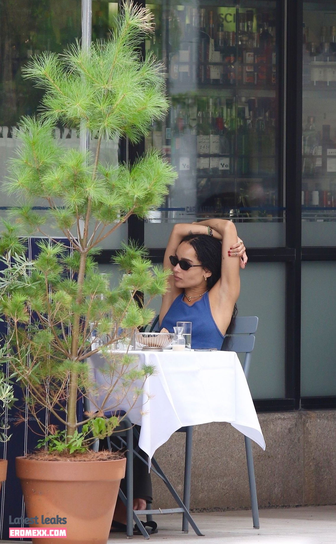 Latest Leaks Zoë Kravitz Nude #369 - Fapello
