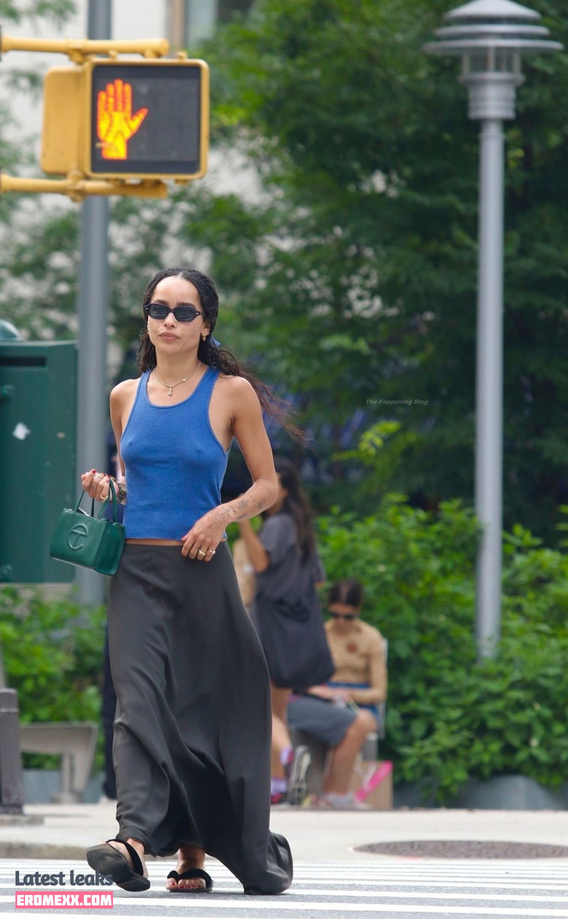 Latest Leaks Zoë Kravitz Nude #427 - Fapello