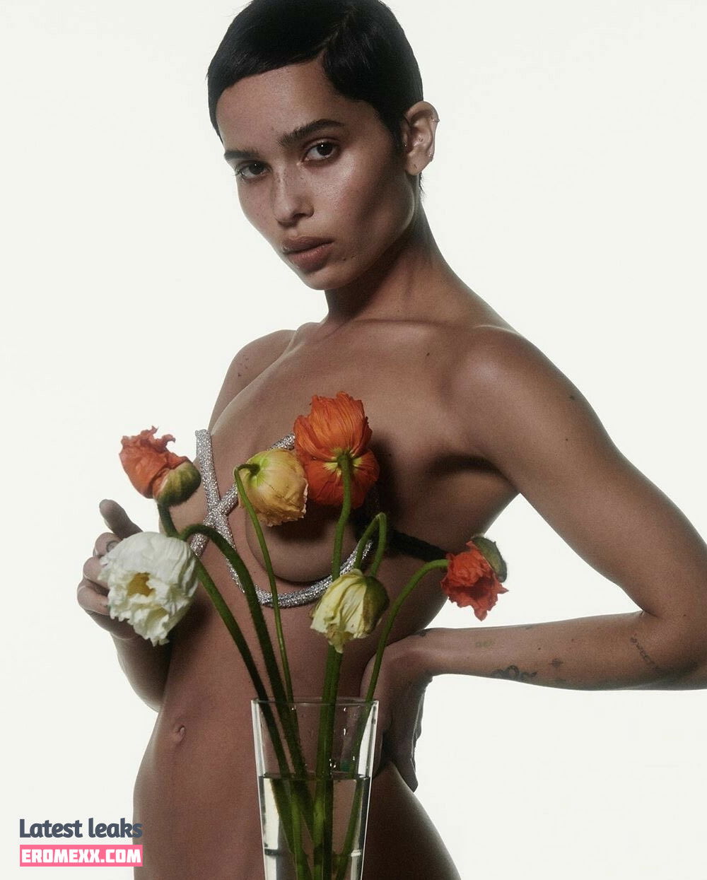 Latest Leaks Zoë Kravitz Nude #871 - Fapello