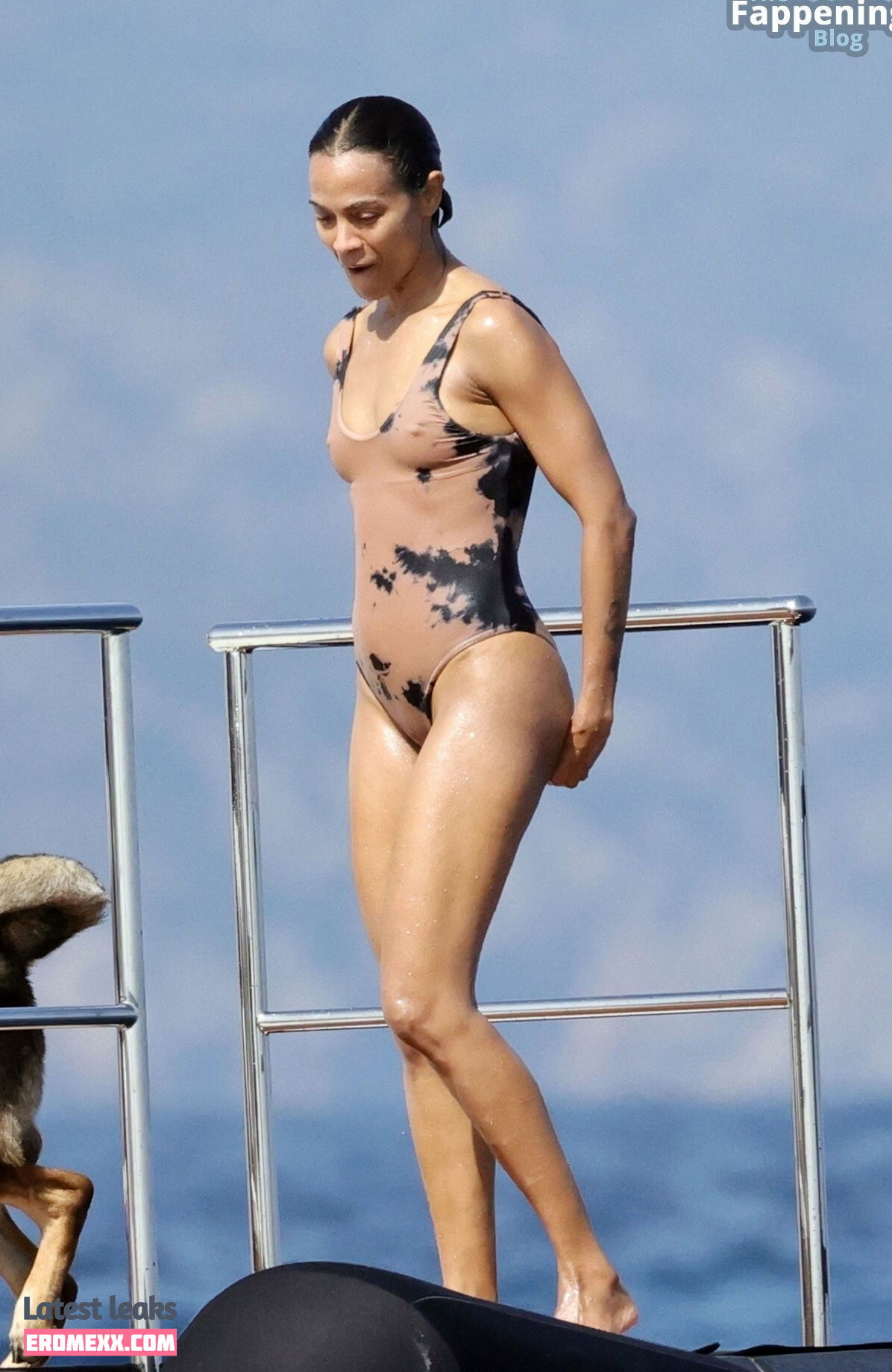 Latest Leaks Zoe Saldana Nude #893 - Fapello
